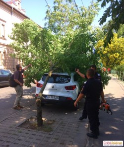 Copac căzut peste mașină pe Dragalina ! VEZI Galerie Foto
