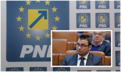 Glad Varga (PNL): „Realizarea infrastructurii de alimentare pentru vehicule electrice a fost adoptată tacit în Senat!”
