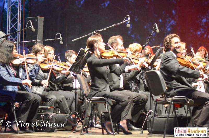 Concertul Rock simfonic din Cetatea Aradului, greu încercat de vremea capricioasă  FOTO - 22