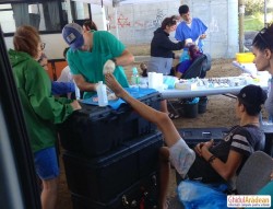 Medici veniți din SUA întind o mână de ajutor sărmanilor din Arad