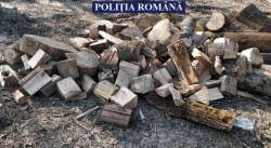Transport ilegal de lemne depistat de polițiștii arădeni