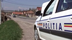 Șofer prins în Vladimirescu, cu numere false 