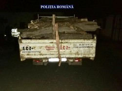 Amendă de 5.000 lei pentru un transport ilegal de lemne, la Lipova