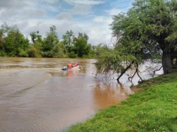 Căutările în apele râului Mureș, a bărbatului de 64 de ani continuă cu dificultate