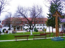 Primăria Arad demarează lucrările pentru amenajarea a două zone verzi în municipiu