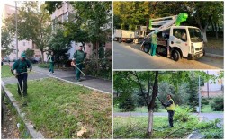 A început curăţenia de toamnă în Municipiul Arad! vezi care e programul pe cartiere!