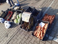 Sectorul legume-fructe din Piața Obor în atenția Poliției Locale
