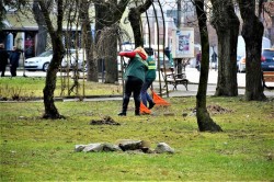 Începe curățenia de primăvară în municipiu