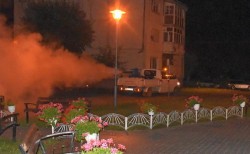10-13 august o nouă acţiune de dezinsecţie în Arad