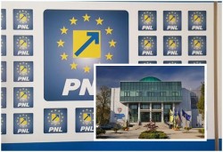 PNL Arad și-a stabilit lista candidaților pentru Consiliul Județean Arad