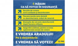 Arădenii au suficiente motive pentru a merge la vot: pentru un drept constituțional și pentru dezvoltarea Aradului(P)