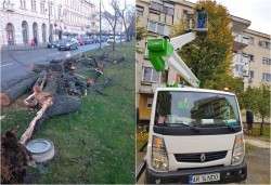 Din 12 ianuarie se reia acțiunea de toaletare a arborilor din municipiu