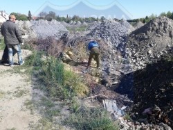 Condamnați penal și beneficiari de venit minim garantat curăță Aradul de gunoaie

