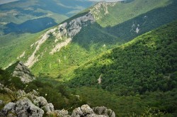 Incredibil, dar adevărat. 43.000 hectare de pădure din județul Bacău retrocedate ilegal. Judecătorii Curții de Apel Brașov încep dezbaterile în dosar 

