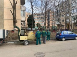 Primăria Arad informează că începe curățenia stradală

