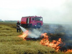 Incendiu de vegetație uscată la ieșirea din Horia spre Șiria