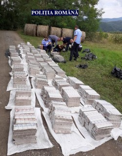 Sute de mii de țigări de contrabandă abandonate la liziera unei păduri de lângă Hălmagiu

