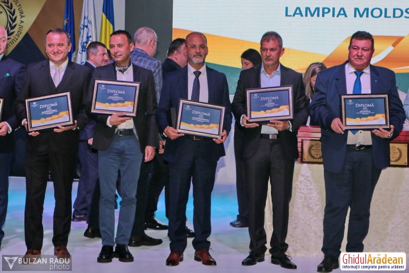 Cele mai bune companii din Arad, premiate de Camera de Comerț în cadrul unui eveniment “cu ștaif” FOTO - 182