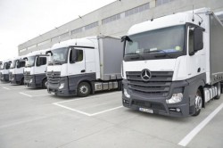 Transportatorul arădean International Alexander a realizat în anul 2022 o cifră de afaceri de 280 milioane de euro