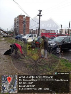 În timp ce unii nesimțiți aruncă gunoaiele pe unde apucă, condamnații penali și asistații sociali fac curățenie pe străzile Aradului