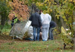Înfiorător! Bărbat de 74 de ani din Brazii găsit mort după ce ar fi fost surprins de viitură