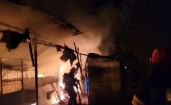 Un incendiu izbucnit sâmbătă noaptea a mistuit mii de kg de cereale și 12 animale în Peregu Mic