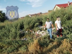 Pușcăriașii curăță Aradul de gunoaiele aruncate de nerușinați

