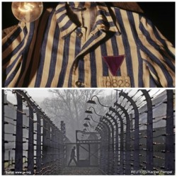 Ziua Internațională de Comemorare a Victimelor Holocaustului –
„Victimele uitate” ALE REGIMULUI NAZIST
 
