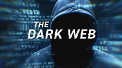Atac cibernetic la Camera Deputaților. Actul de identitate a premierului Ciolacu a fost postat pe Dark Web

