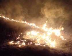 Pompierii au intervenit la 4 incendii care au ars peste 19 hectare de vegetație