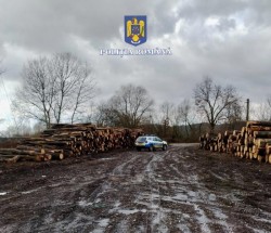 101 metri cubi de lemn confiscați în județul Arad în urma unei acțiuni pentru depistarea ilegalităților din domeniul silvic