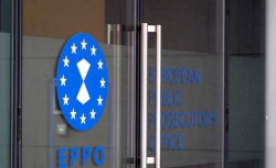 Percheziții ale procurorilor Parchetului European la Arad într-o anchetă privind o posibilă fraudă de 3 milioane de euro din fonduri europene

