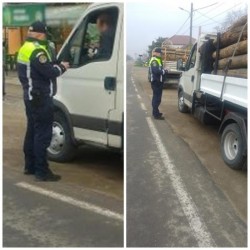 Transporturile de material lemnos luate la puricat de polițiști. Razii la Sântana și Nădlac

