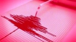 Pământul României s-a cutremurat dis de dimineață. Este al doilea cutremur în 2 zone diferite ale țării în mai puțin de 24 de ore

