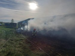 50 ovine decedate într-un incendiu izbucnit la un saivan din localitatea Zărand