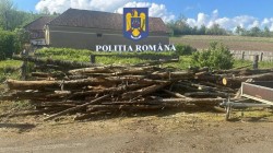 Razie de amploare a polițiștilor la Lipova 