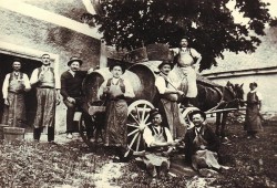 PASTILA DE ISTORIE | În ianuarie 1893 comuna Ghioroc a intrat în incapacitate de plată. Marii viticultori falimentaseră în lanț din cauza filoxerei care a atacat în ultimul deceniu plantațiile de vie