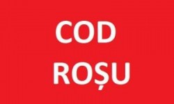Cod Roșu de vijelie puternică în județul Arad